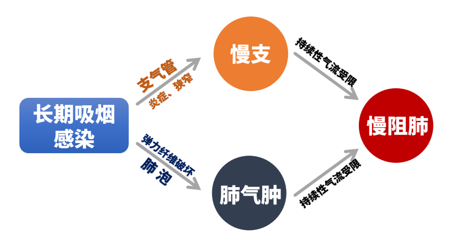 &#29233;&#28216;&#25103;&#32593;&#39029;&#29256;&#45;&#29233;&#28216;&#25103;&#97;&#105;&#121;&#111;&#117;&#120;&#105;&#65288;&#20013;&#22269;&#65289;