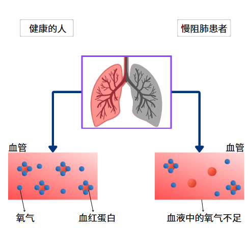 &#29233;&#28216;&#25103;&#32593;&#39029;&#29256;&#45;&#29233;&#28216;&#25103;&#97;&#105;&#121;&#111;&#117;&#120;&#105;&#65288;&#20013;&#22269;&#65289;